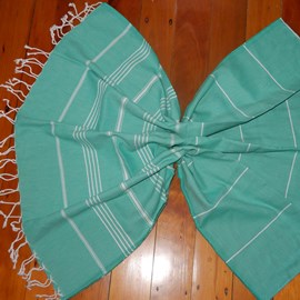 Zileye