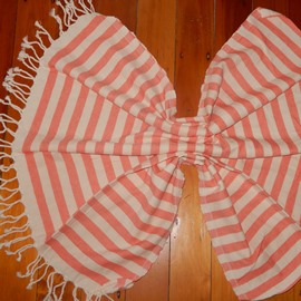 Zileye
